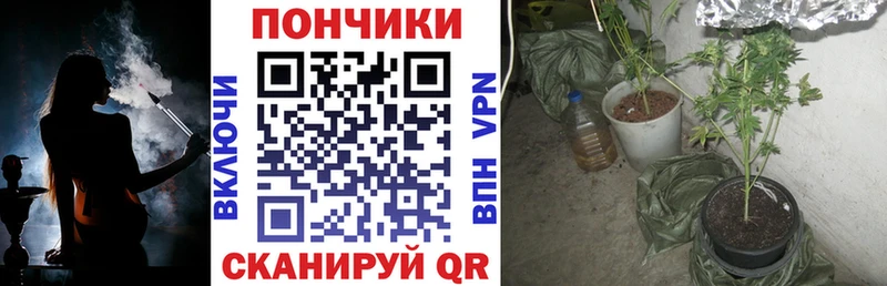 Каннабис Bruce Banner  Яблоновский 